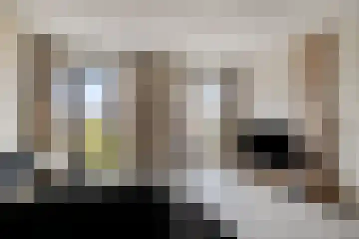 Hooghuisstraat 20 E Oss thumbnail 17