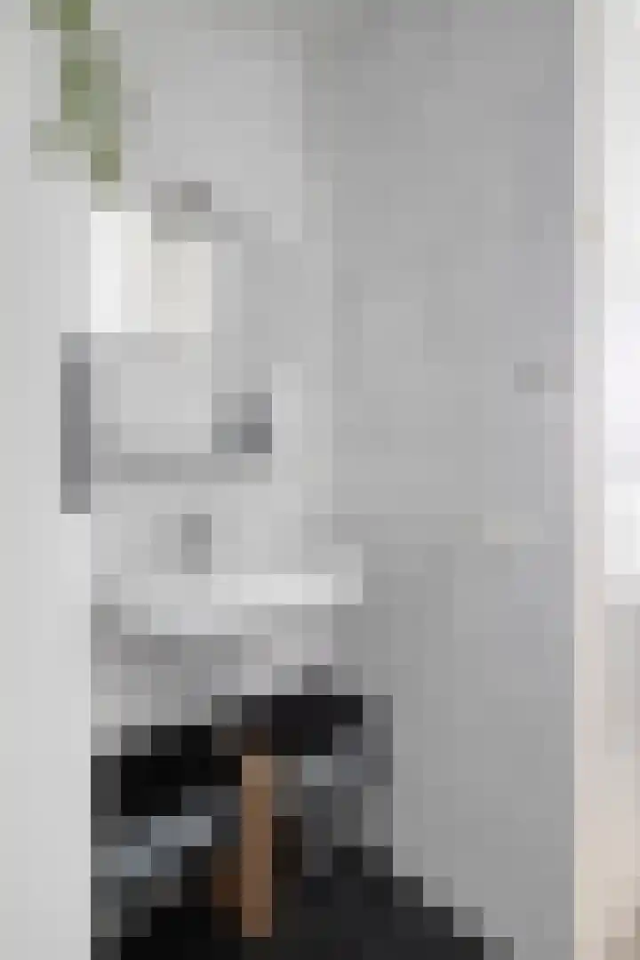 Hooghuisstraat 20 E Oss thumbnail 21