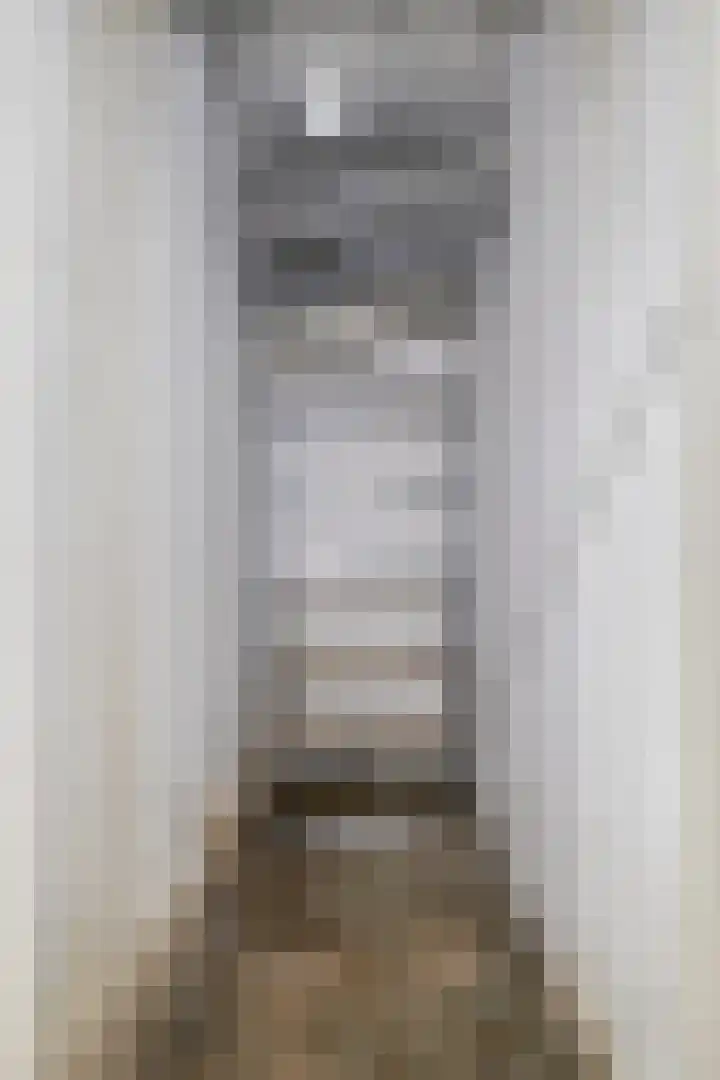 Hooghuisstraat 20 E Oss thumbnail 31
