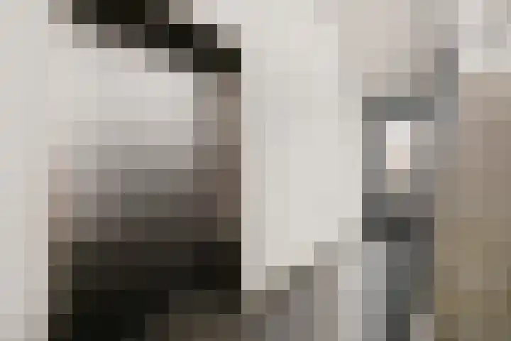 Hooghuisstraat 20 E Oss thumbnail 4