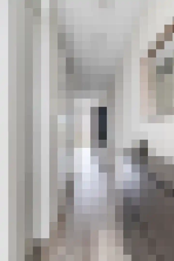 Hooghuisstraat 20 E Oss thumbnail 7