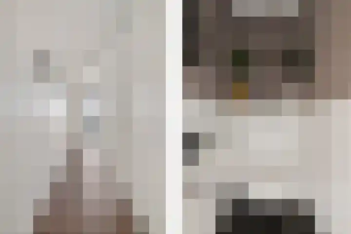 Hooghuisstraat 22 D Oss thumbnail 11
