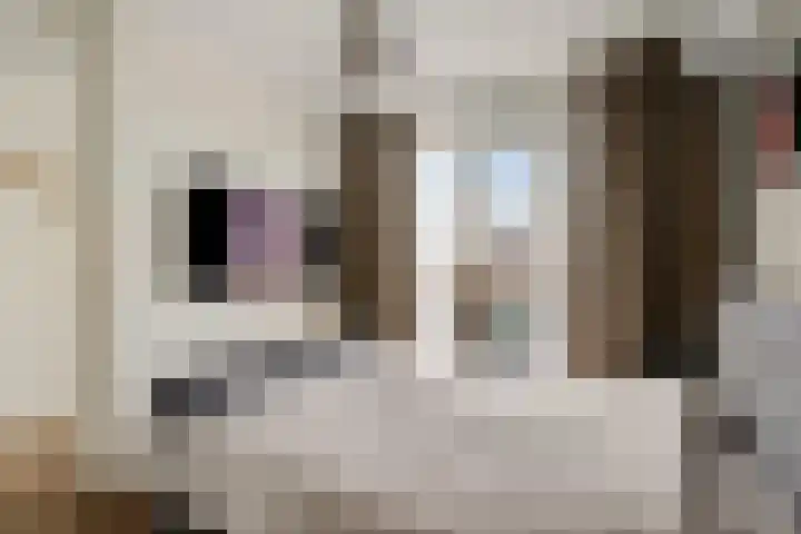 Hooghuisstraat 22 D Oss thumbnail 25