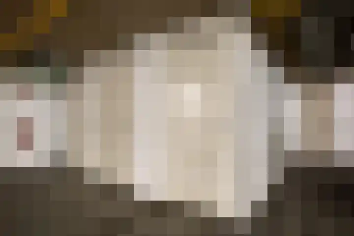 Hooghuisstraat 22 D Oss thumbnail 32