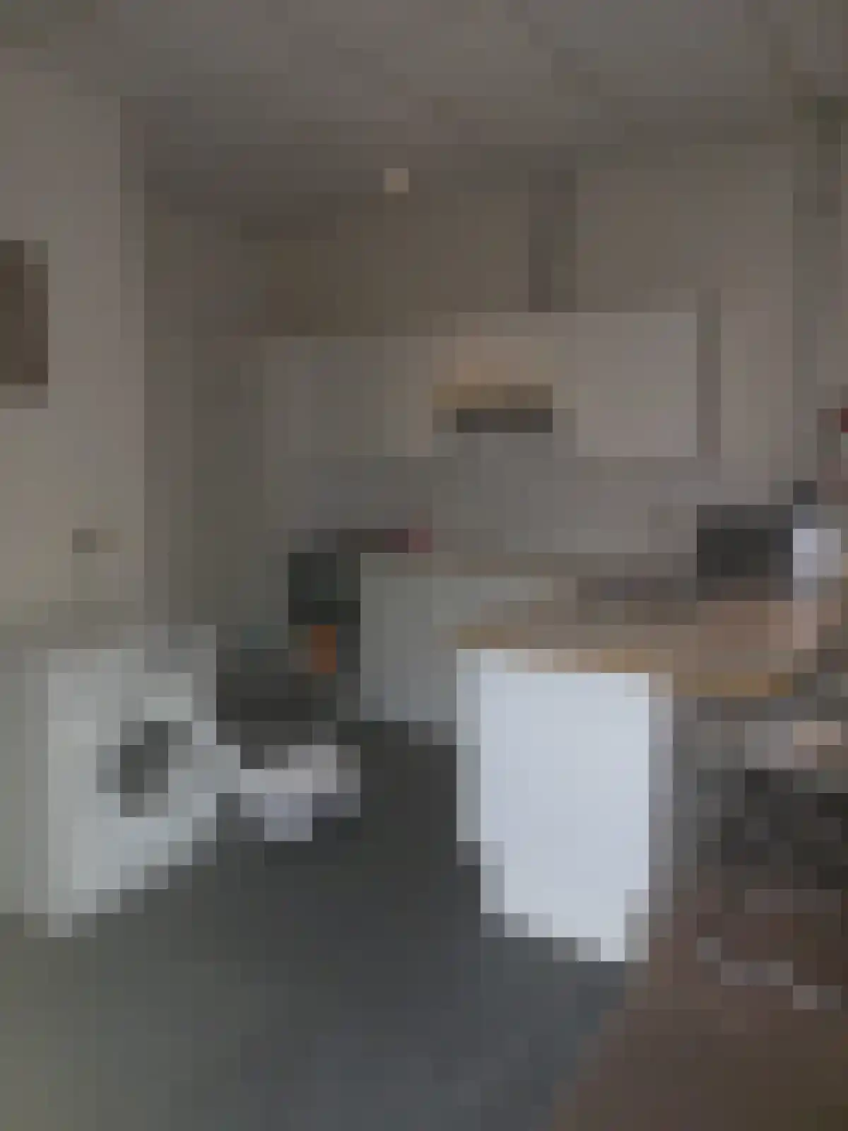 Hooghuisstraat 25 A Oss thumbnail 5