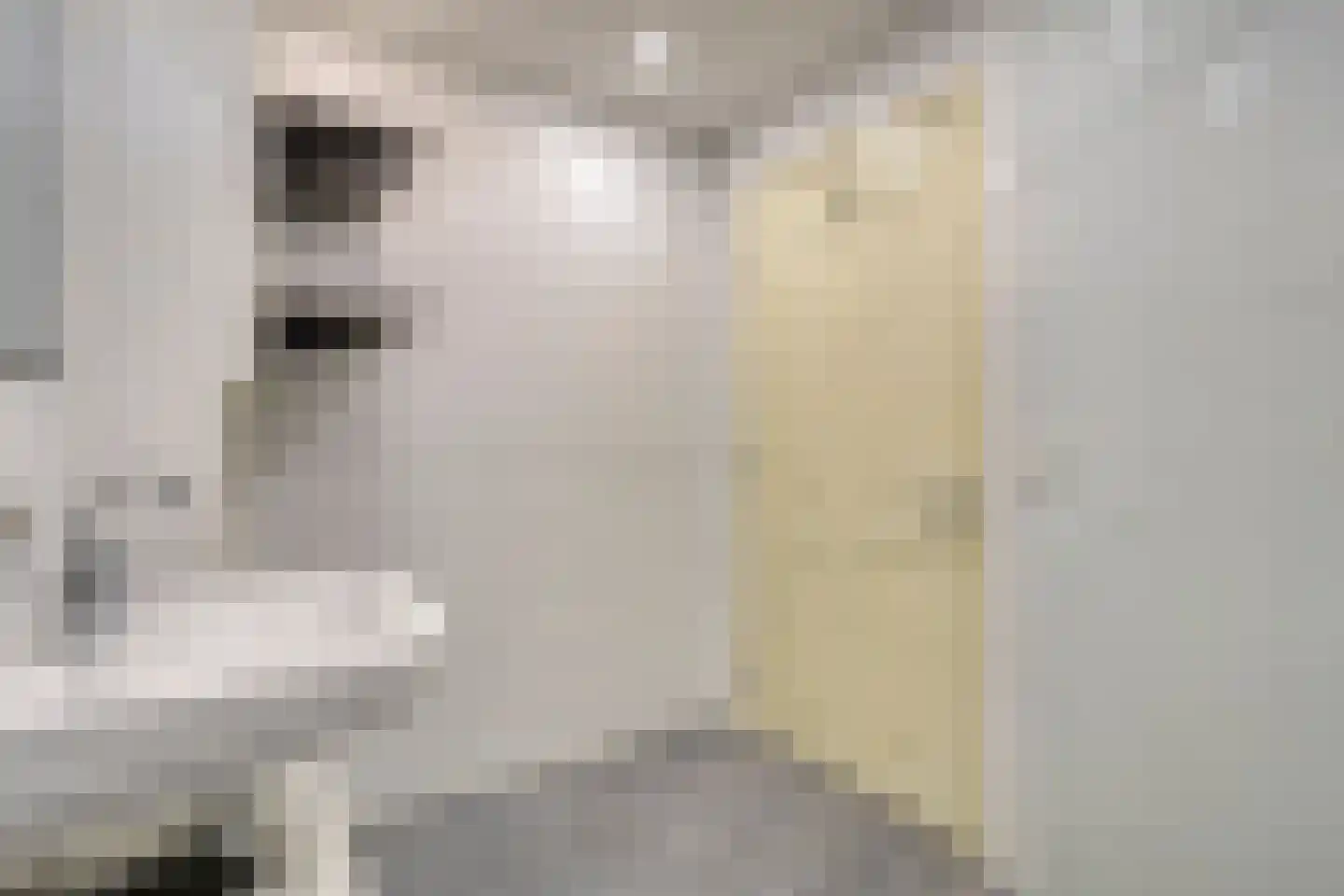 Hooghuisstraat 33 A Oss thumbnail 18