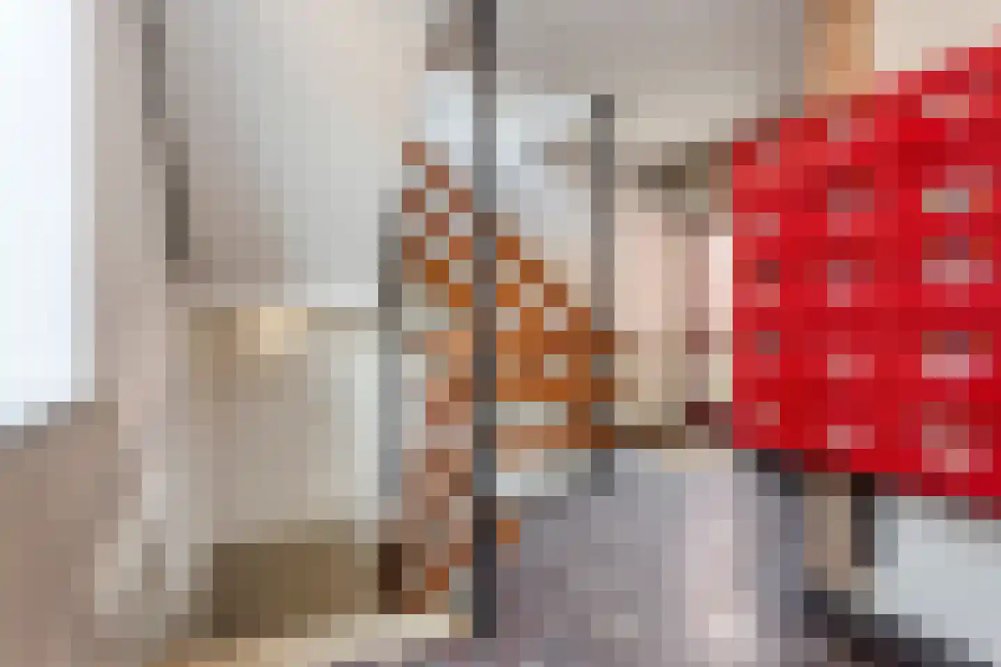 Hooghuisstraat 48 Bergen op Zoom thumbnail 7