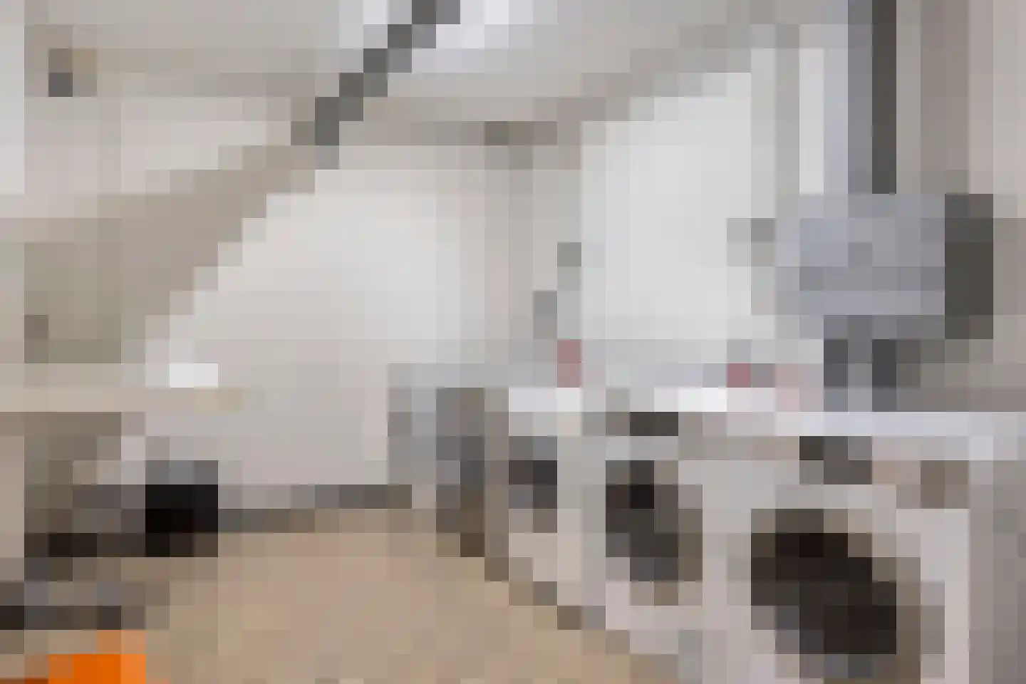 Hooghuisstraat 48 Bergen op Zoom thumbnail 8