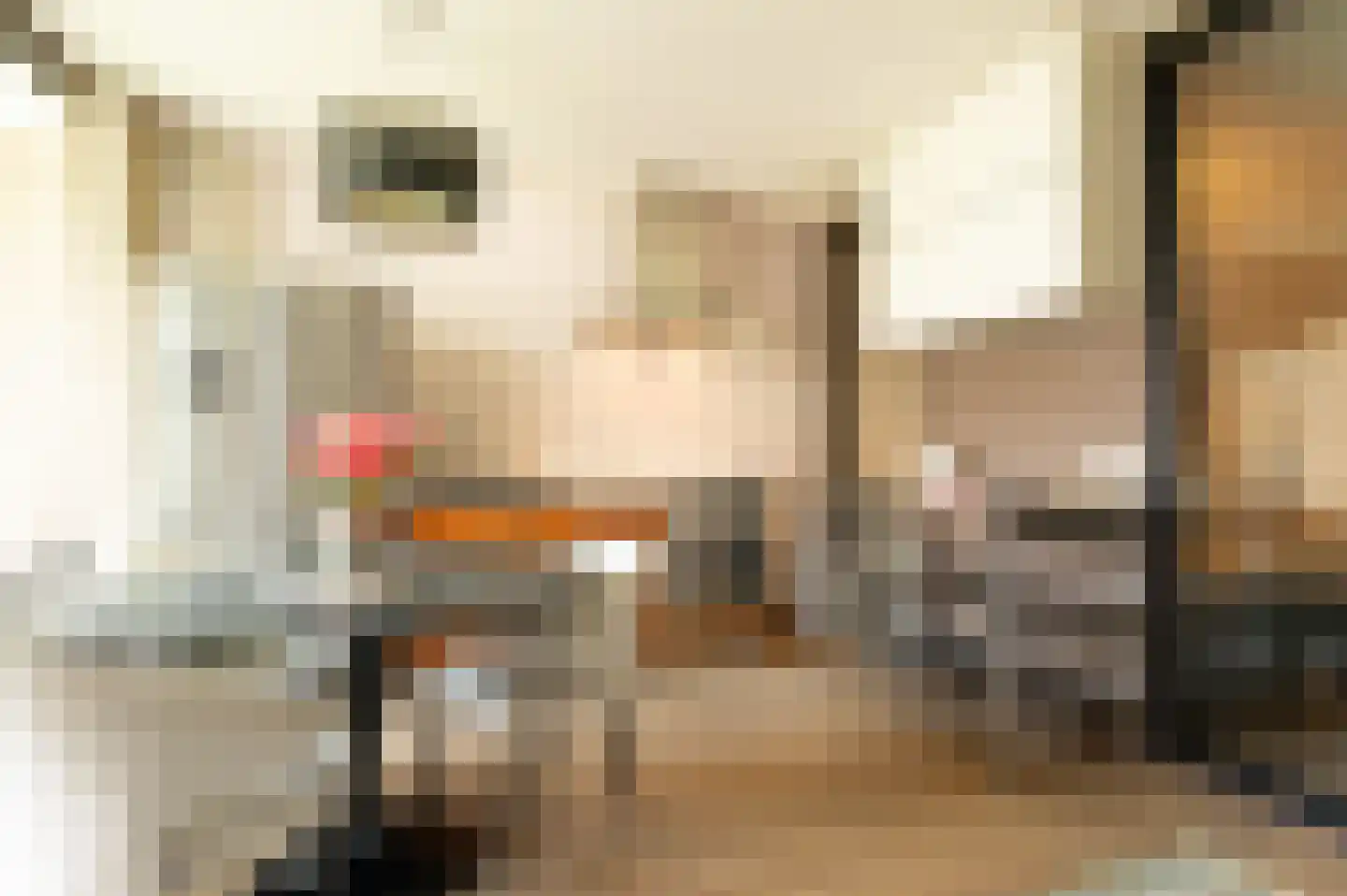 Hooghuisstraat 50 Bergen op Zoom thumbnail 10