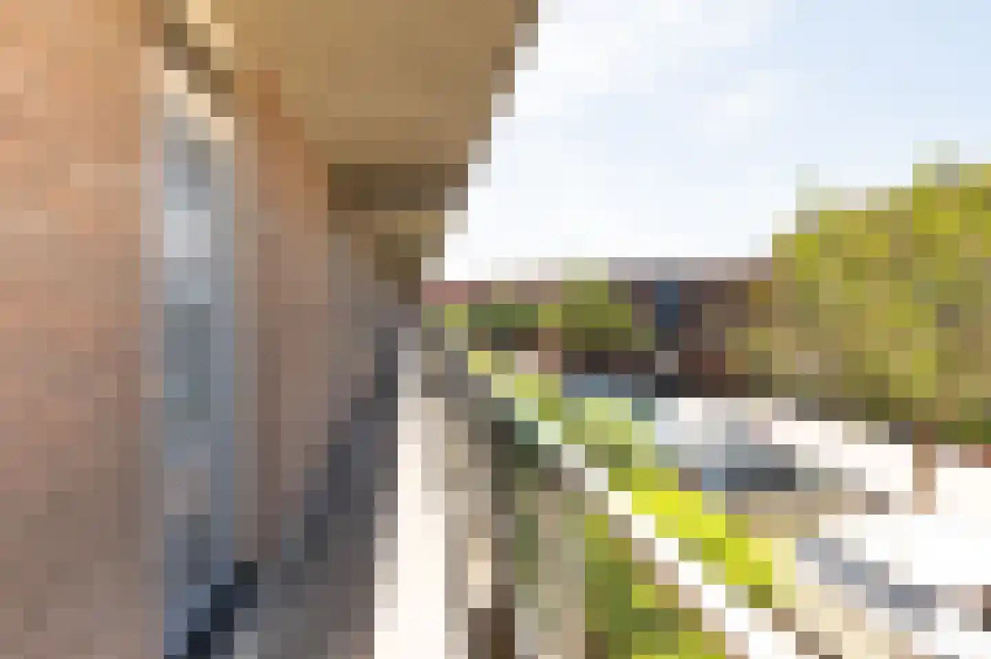 Hooghuisstraat 50 Bergen op Zoom thumbnail 4