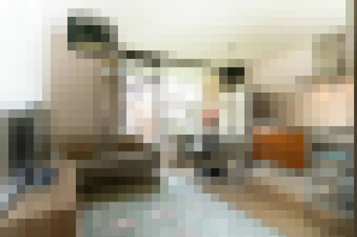 Hooghuisstraat 50 Bergen op Zoom thumbnail 9