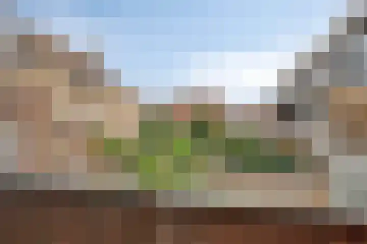 Hooghuisstraat 56 Bergen op Zoom thumbnail 8