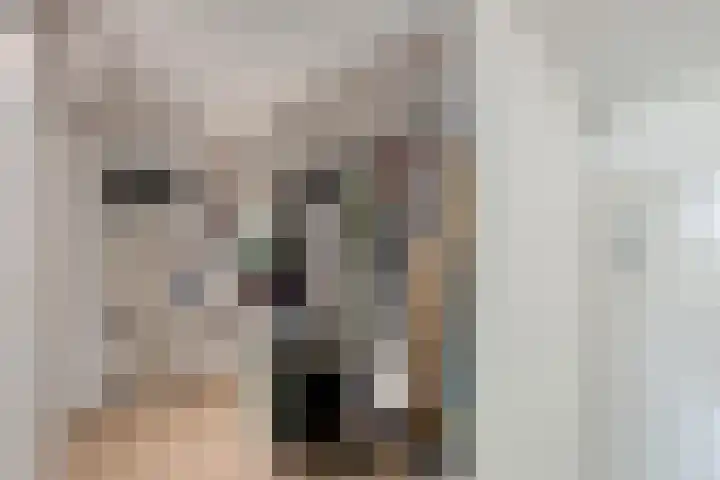 Hooghuisstraat 62 Bergen op Zoom thumbnail 14