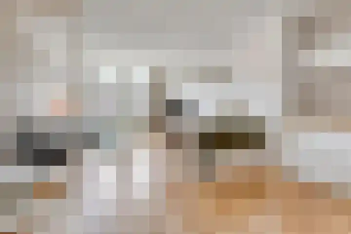 Hooghuisstraat 62 Bergen op Zoom thumbnail 5
