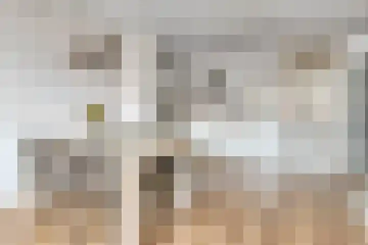Hooghuisstraat 62 Bergen op Zoom thumbnail 7