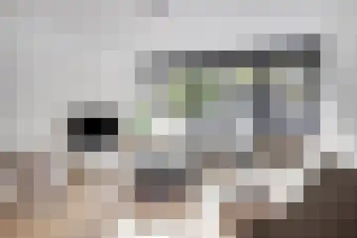 Hooghuisstraat 9 A Oss thumbnail 10