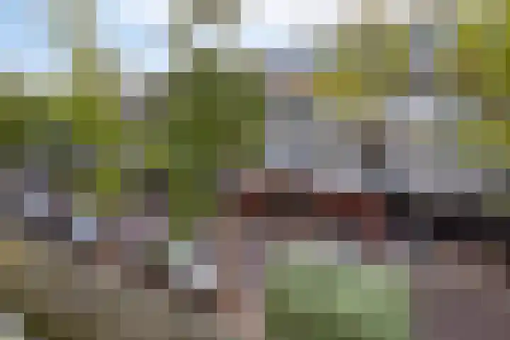 Hooghuisstraat 9 A Oss thumbnail 21