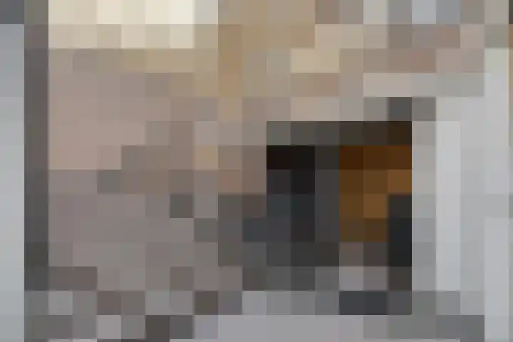Hooghuisstraat 9 A Oss thumbnail 4