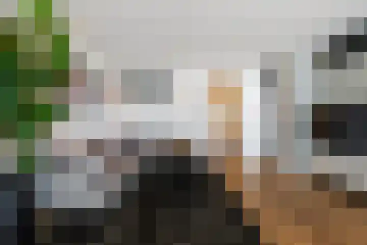 Hooghuisstraat 9 A Oss thumbnail 8