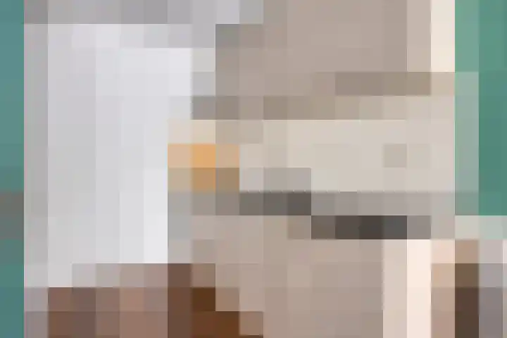 Hooghuisstraat 9 E Oss thumbnail 16