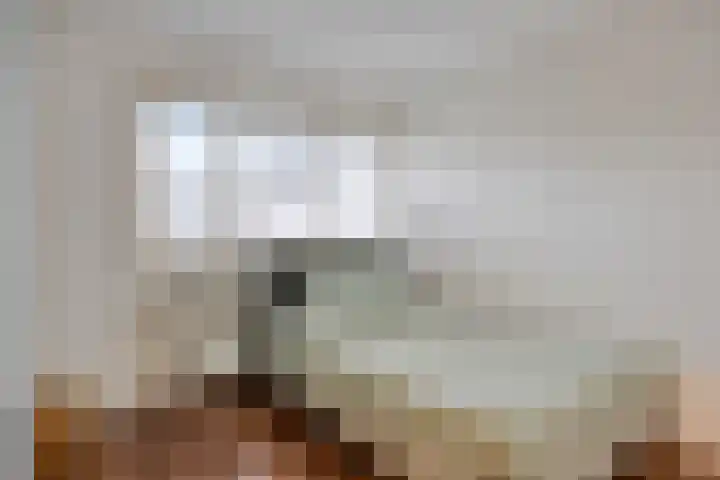 Hooghuisstraat 9 E Oss thumbnail 18
