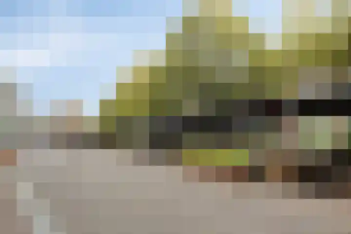 Hooghuisstraat 9 E Oss thumbnail 21