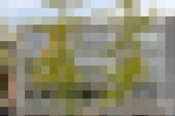 Hooghuisstraat 9 E Oss thumbnail 5