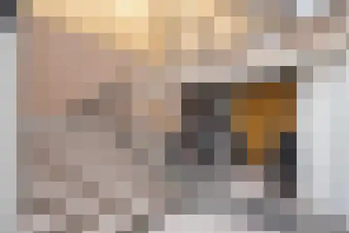 Hooghuisstraat 9 E Oss thumbnail 7