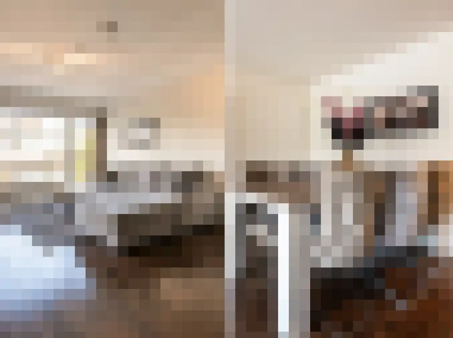 Hooghuisstraat 9 H Oss thumbnail 10
