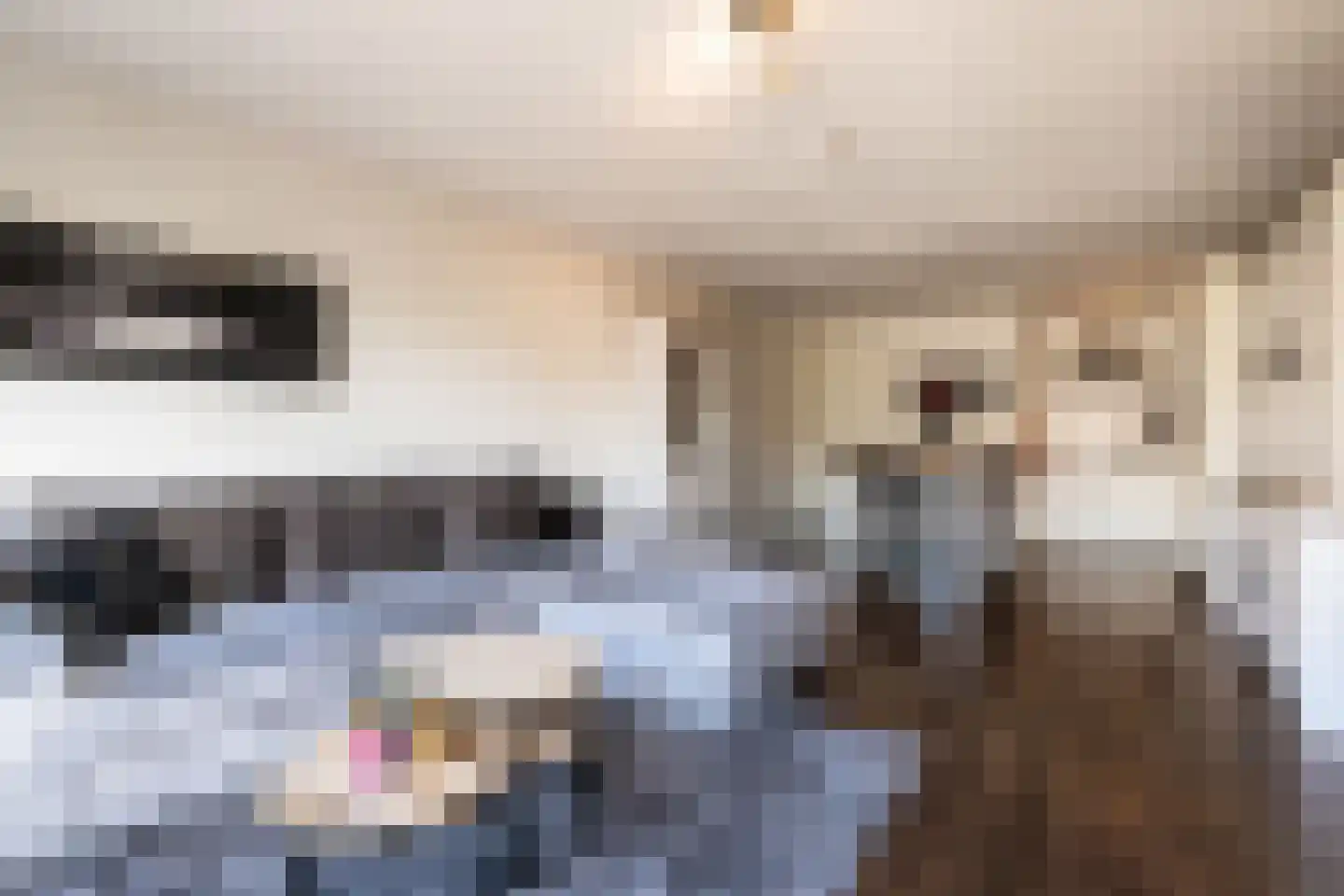 Hooghuisstraat 9 H Oss thumbnail 11