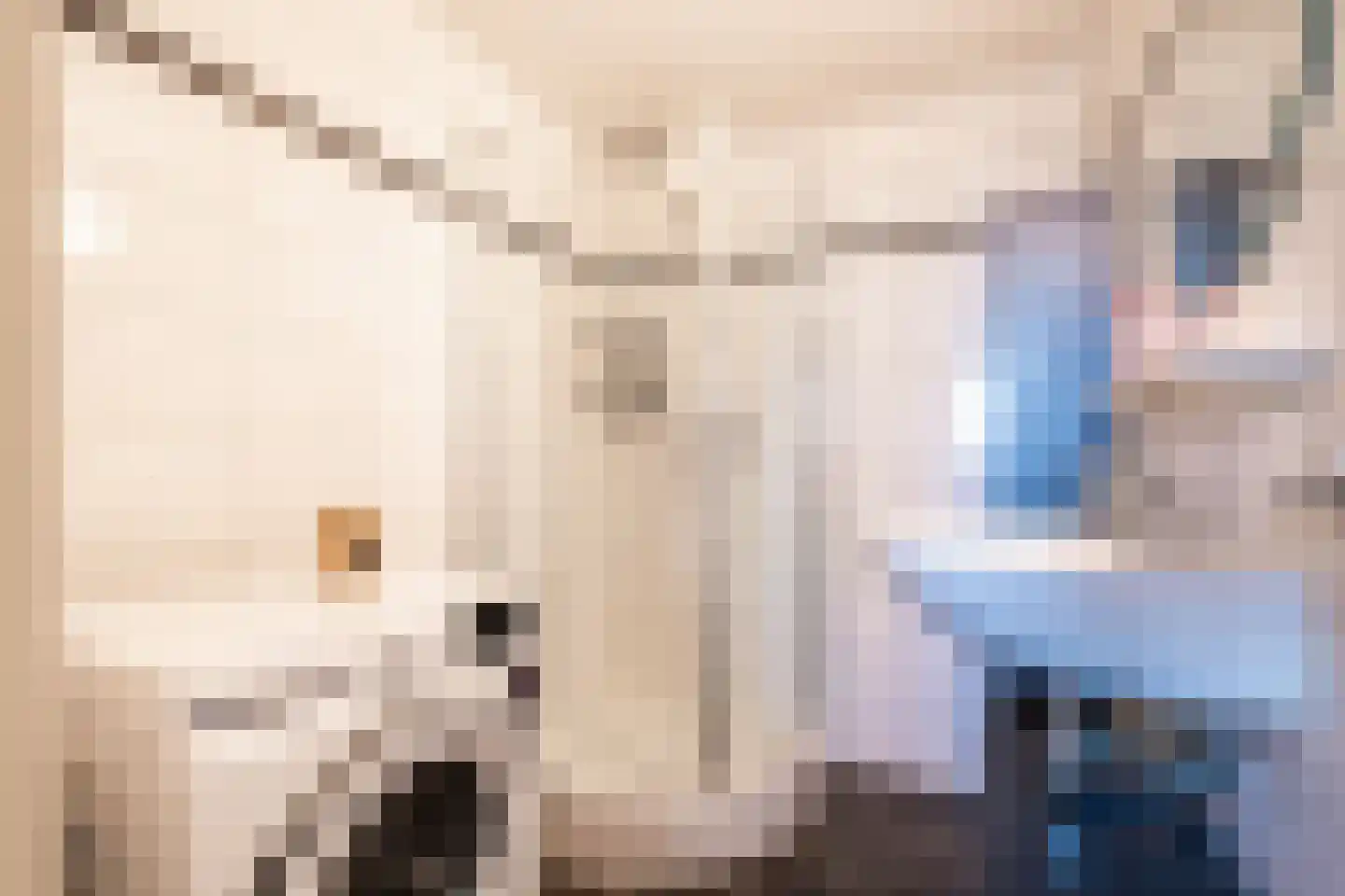 Hooghuisstraat 9 H Oss thumbnail 15