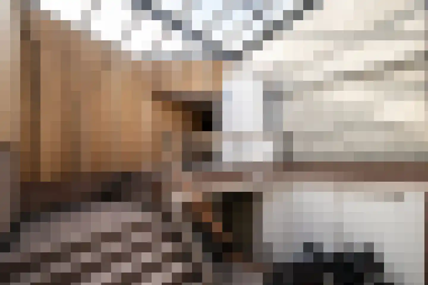 Hooghuisstraat 9 H Oss thumbnail 20