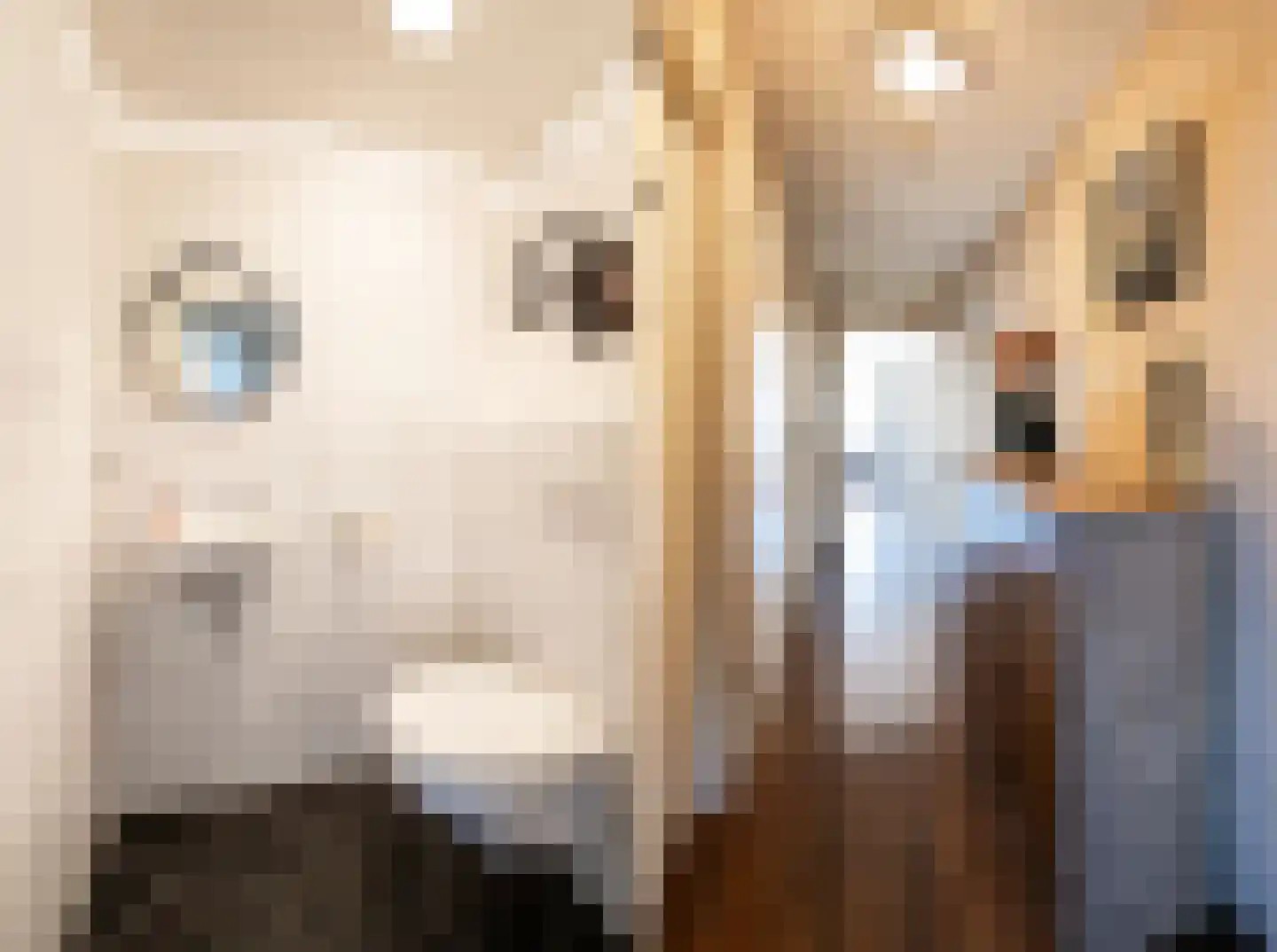 Hooghuisstraat 9 H Oss thumbnail 7