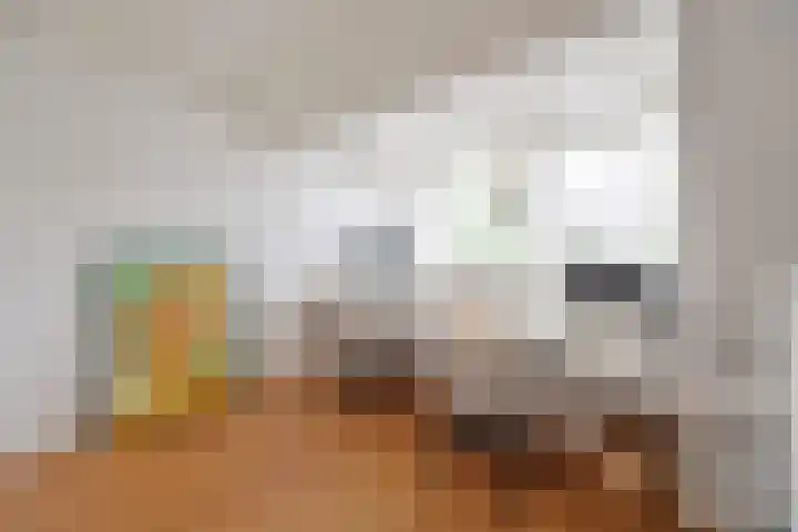 Hooghuizenweg 14 Huizen thumbnail 10