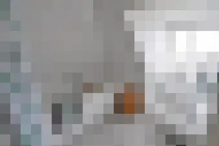 Hooghuizenweg 14 Huizen thumbnail 12