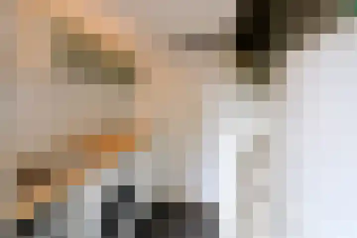 Hooghuizenweg 14 Huizen thumbnail 14