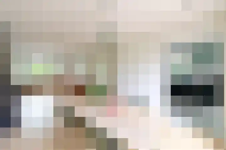 Hooghuizenweg 14 Huizen thumbnail 6