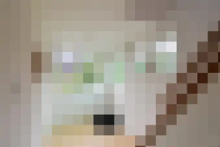 Hooghuizenweg 14 Huizen thumbnail 8