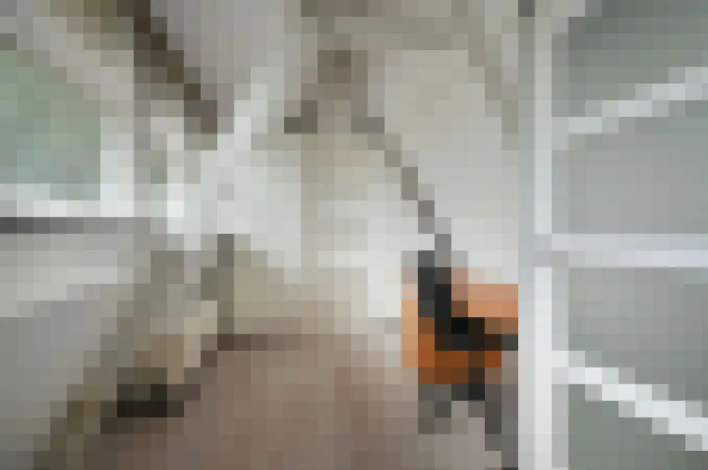 Hooghuizenweg 25 Huizen thumbnail 21