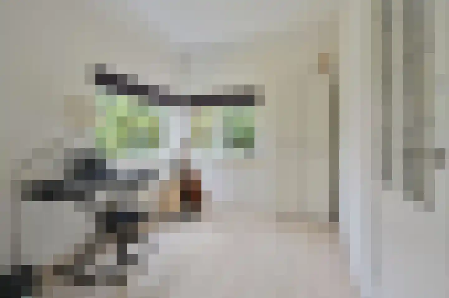 Hooghuizenweg 25 Huizen thumbnail 7