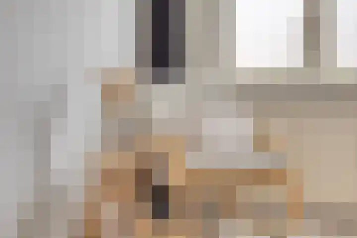 Hoogkamp 19 Eibergen thumbnail 23