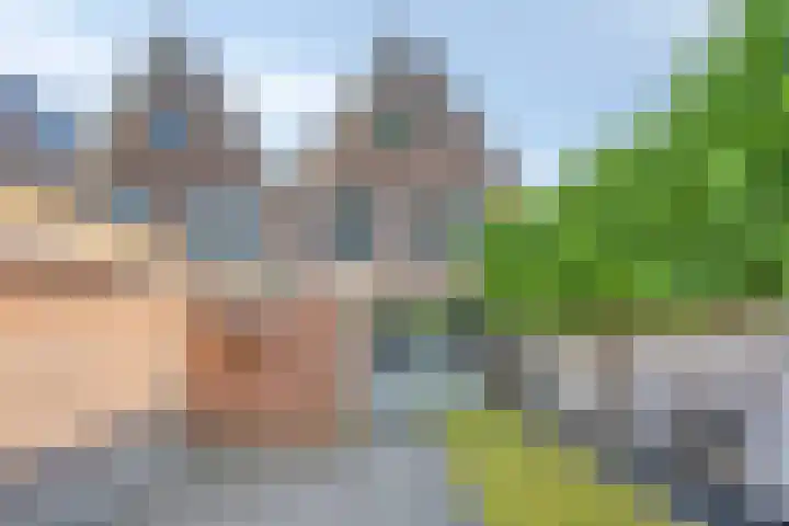 Hoogkamp 19 Eibergen thumbnail 29