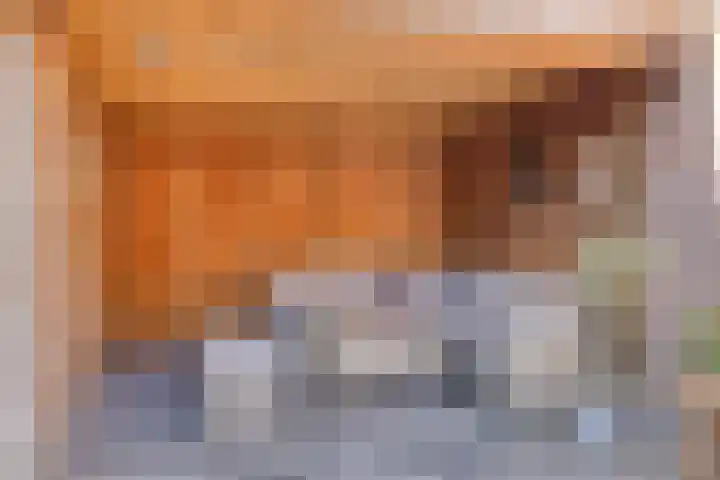 Hoogkamp 19 Eibergen thumbnail 31