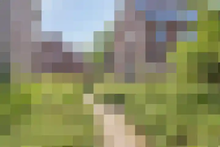 Hoogkamp 19 Eibergen thumbnail 33