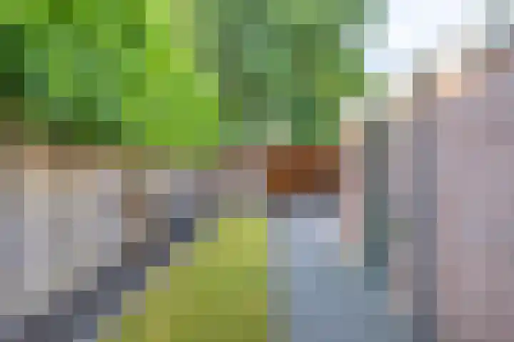 Hoogkamp 19 Eibergen thumbnail 4