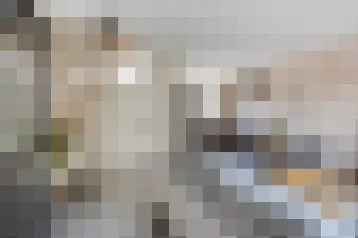 Hoogkamp 19 Eibergen thumbnail 8