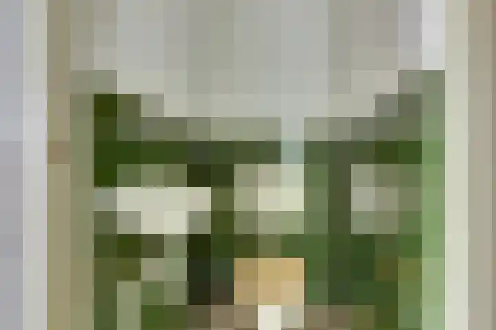 Hoogkamp 67 Eibergen thumbnail 16