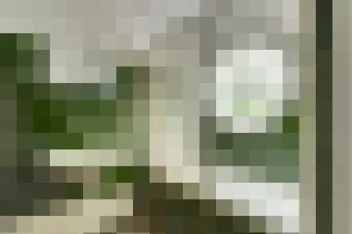 Hoogkamp 67 Eibergen thumbnail 18