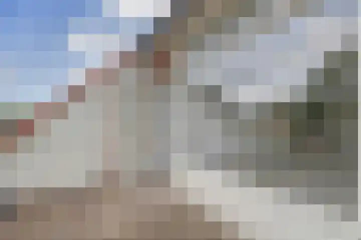 Hoogkamp 67 Eibergen thumbnail 20