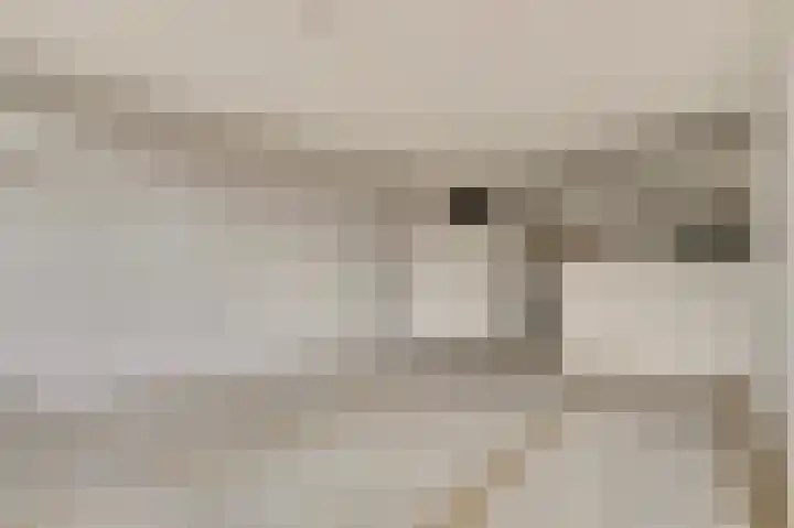 Hoogkamp 67 Eibergen thumbnail 6